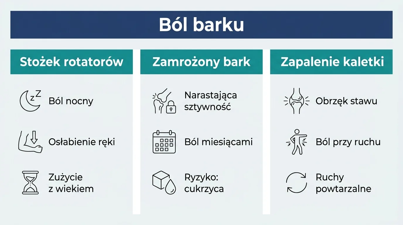 Infografika przedstawiająca trzy najczęstsze przyczyny bólu barku: stożek rotatorów, zamrożony bark i zapalenie kaletki.