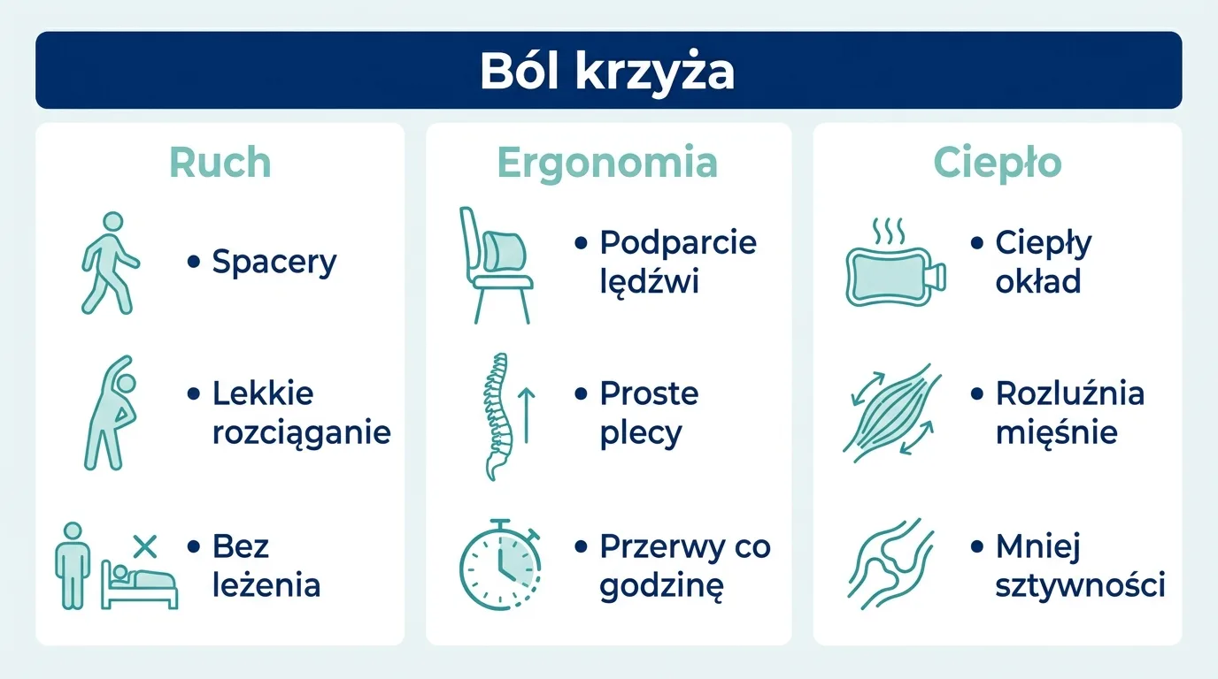 Infografika przedstawiająca trzy filary domowej ulgi na ból krzyża: ruch, ergonomię siedzenia i ciepło.
