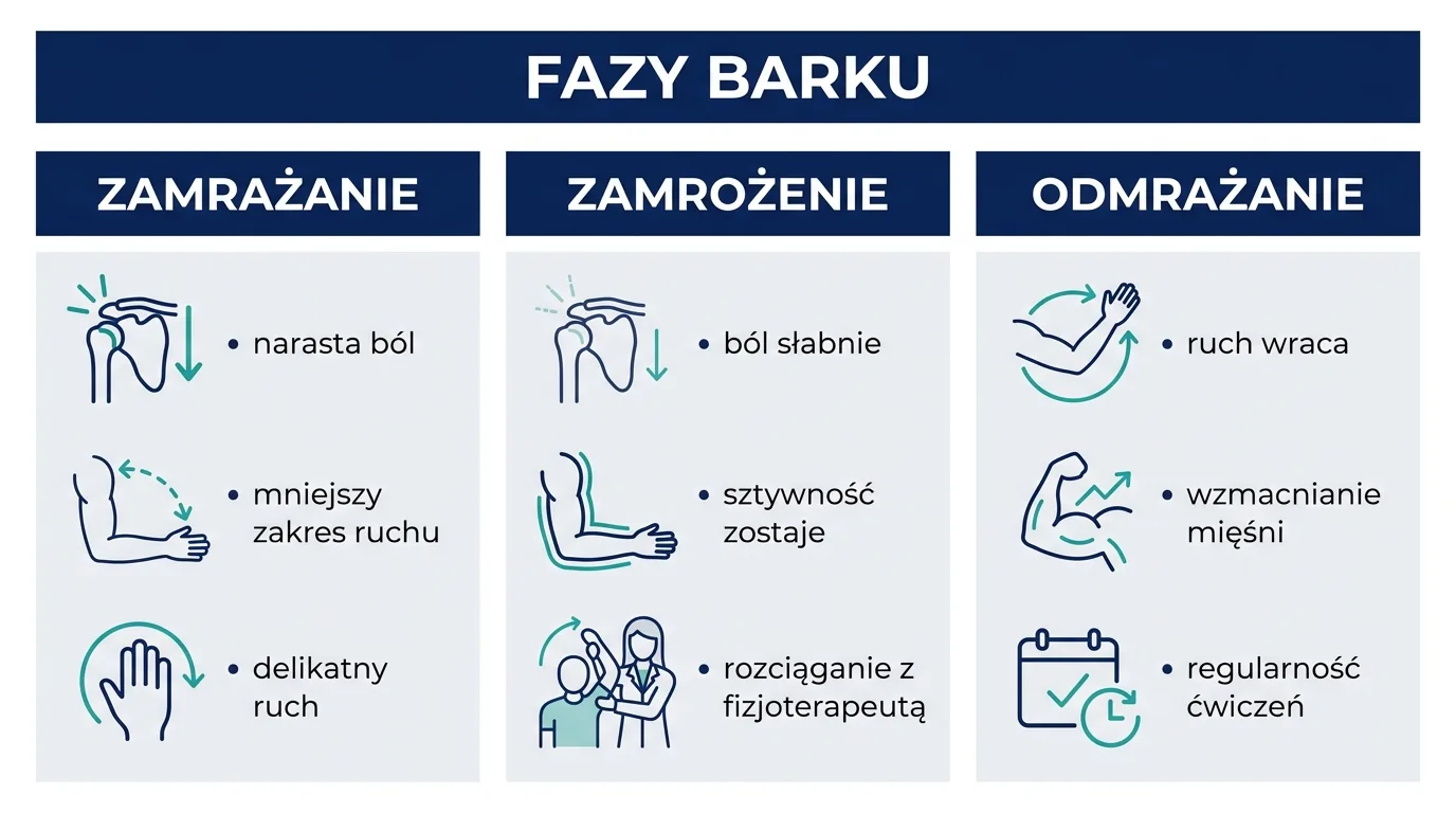 Infografika przedstawiająca trzy fazy zamrożonego barku